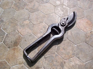 Vintage - Collectable Parrot Beak - Secateurs - Cottage Garden Pruning - Shrubs. - Picture 1 of 7