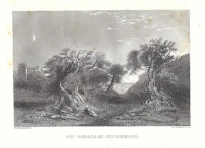 GARDEN OF GETHSEMANE, MOUNT OLIVES, PALESTINE, ISRAEL 1850 Steel Engraving Art - Picture 1 of 1