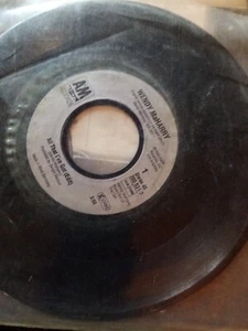 Wendy Maharry- All That I’ve Got 7” Single A&M Records 1990 - Picture 1 of 1