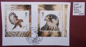 GB 2019 Self Adhesive~Birds of Prey~Stamp Set~SG~4210-4211~Fine Used~on piece~B - Picture 1 of 1