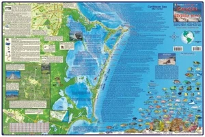 Cancun & Riviera Maya Mexiko Abenteuer & Tauchkarte laminiertes Poster Franko Karten - Bild 1 von 6