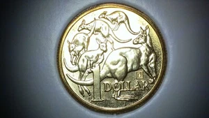 Privy 'D' - 2023 $1 ANDA Queen Elizabeth II Memorial Dated Mob of Roos UNC Coin - Picture 1 of 2