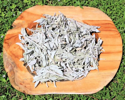 Loose White Sage Smudge LEAVES: Choose oz or lbs, Bulk Wholesale Lots - Image 1 of 4