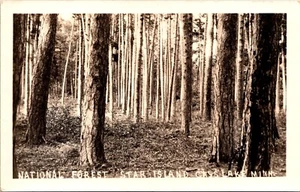 Postal RPPC Cass Lake Star Island National Forest Minnesota A60 - Imagen 1 de 2