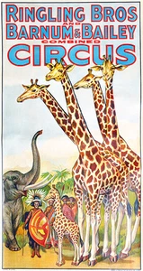 Ringling Brothers and Barnum & Bailey - 1940's - Circus Show Poster - Picture 1 of 1