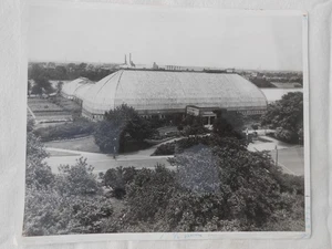 Foto real vintage de 8x10 del distrito de parques de Chicago de los años 30 del conservatorio Garfield Park de los años 30 - Imagen 1 de 5