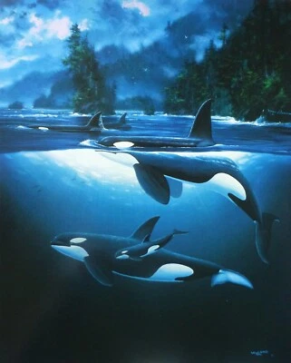 Wyland & Coleman Studios Northern Waters Orca 1992 arte marino de colección orca Foto 1 de 3