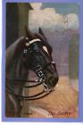 OLD TUCK POSTCARD ARTIST SIGNED HILDA WALKER CHARGERS THE SENTRY BROWN BAY HORSE
