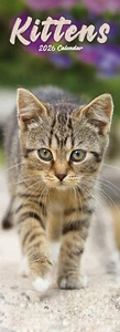 Calendario Kittens Slim 2026 | Regalo Slimline 15% DE DESCUENTO EN PEDIDOS MÚLTIPLES - Imagen 1 de 8