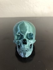 3D Printed Skull ( MADE IN USA)