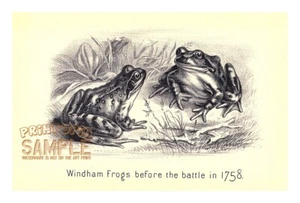 Brigham Payne (1876) Centennial Souvenir * Art Print * Windham Frogs 1758 - Picture 1 of 6