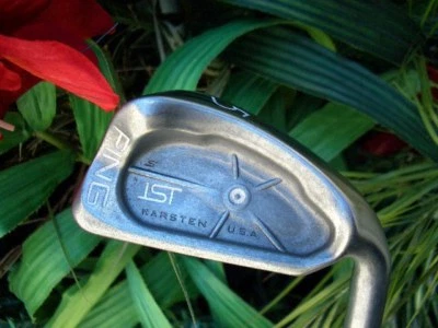 Pulido PING ISI Golf 5 Hierro Z-Z65 Acero Rígido CUSHIN Club Punto Blanco Único Foto 1 de 4