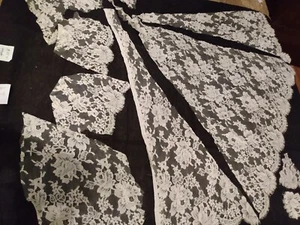 #27 SURTIDO FORMA DE PASTEL OFF WHITE FRANCÉS CHANTILLY ENCAJE RIBETE PIEZAS - Imagen 1 de 9