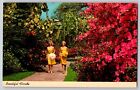 Postcard Florida Tropical Gardens Azaleas Border Women Walking 