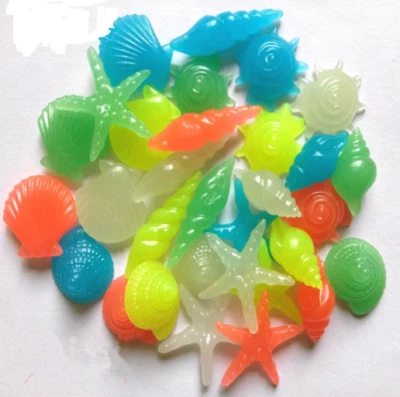 New 5PCS/PACK Color Random Glow in the Dark Luminous Stone Conch Sea Shells Aqua - Image 1 of 2