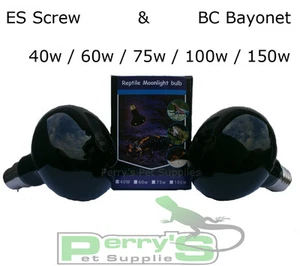 Reptile Moonlight Heat Lamp Bulb Night 40w 60w 75w 100w 150w ES Screw BC Bayonet - Picture 1 of 3