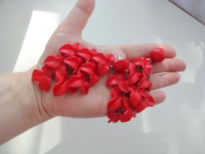 Vtg Red Celluloid Plastic Dangle Maple Leaf Extreme Runway Pierced Stud Earrings - Picture 1 of 3