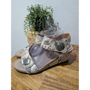 Taos Women Sandal Carousel Size EU 42 /US 11 Gray SNAKE Leather Wedge Shoe - Picture 1 of 7