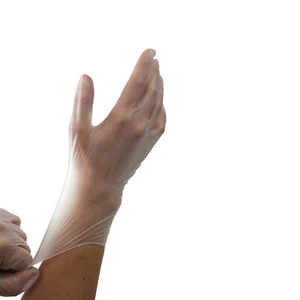 VINYL POWDER-FREE GLOVES LATEX FREE -  LARGE  - Picture 1 of 2