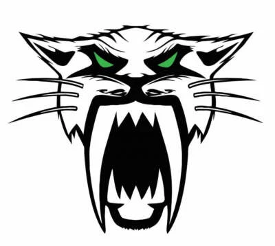 Arctic Cat Decal - Image 1 of 2