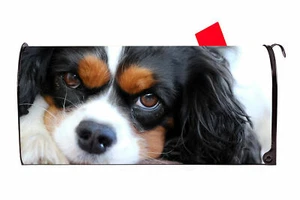 King Charles Spaniel 1 Vinyl Magnetic Mailbox Cover Made in the USA - Picture 1 of 1