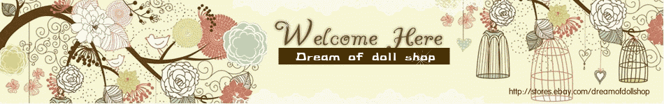 dream of doll shop