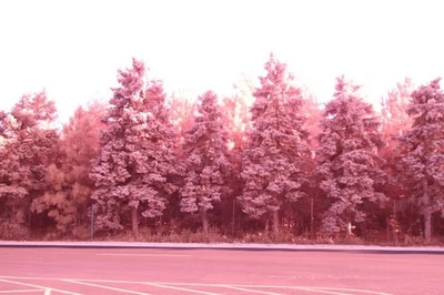 Full Spectrum Conversion, Canon EOS 7D Camera - 760 - Image 1 of 4