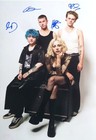 PALE WAVES AUTOGRAPHED A4 PHOTOGRAPH.