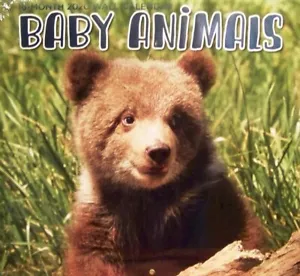 WANDKALENDER - SAMMLERSTÜCK 2020 BABYTIERE - INKLUSIVE SEPT-DEZ BONUSSEITEN - Bild 1 von 2