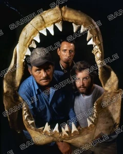 JAWS 8X10 Photo 16 ROY SCHEIDER / ROBERT SHAW / RICHARD DREYFUSS - Picture 1 of 4