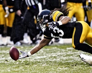 Troy Polamalu Fumble Recovery Pittsburgh Steelers 8x10 NFL Football Photo - Picture 1 of 1
