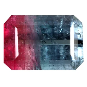 15.34 ct Octagon (16.77 x 11.84 mm) Unheated / Untreated Watermelon Tourmaline - Picture 1 of 2