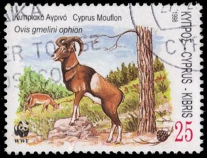 CYPRUS 923 - Zypriotisches Mufflon "Ovis gmelini ophion" WWF (pf45724) - Bild 1 von 1