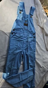 Washington Dee Cee VTG 1970s Baby Blue Denim Workwear Overalls Womens Small - Picture 1 of 17