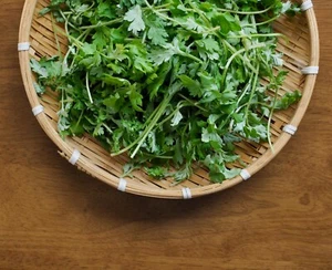 MUGWORT 100 Seeds ADAPTOGEN MEDICINAL HERBAL TEA fight stress Artemisia vulgaris - Picture 1 of 5