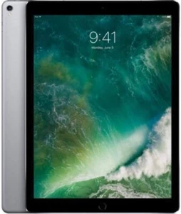 Apple Ipad Pro 2nd Gen 12.9" A1671 A10x 4GB 256GB WiFi + Cellular Tablet Gray - Picture 1 of 4