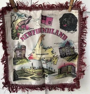 VTG Pillowcase Souvenir Newfoundland 11x11 Inch Deer Nature Satin With Fringe - Picture 1 of 6