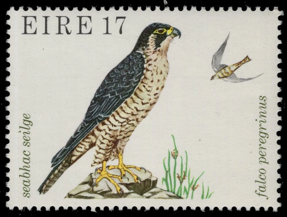 IRLANDA 452 (SG445) - Halcón Peregrino "Falco peregrino" (pc42430) Foto 1 de 1