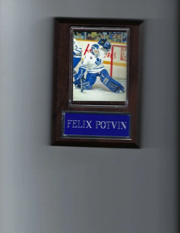 FELIX POTVIN PLAQUE TORONTO MAPLE LEAFS HOCKEY NHL Cover