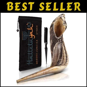 Elegant Kosher Ram Horn Shofar - 14"-16" with Velvet Bag, Easy Maintenance Brush - Picture 1 of 9
