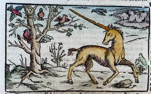 AN UNICORN 1552 COSMOGRAPHY OF MUNSTER ANTIQUE ENGRAVED VIEW - Picture 1 of 4