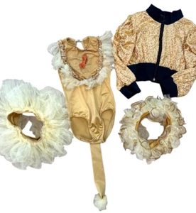 Child's Dance Costume Set, size small fits a 2-3 year old - Picture 1 of 15