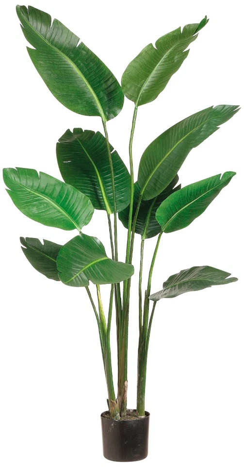 Green Bird of Paradise 70"H Faux Plant in Gray Plastic Pot - Image 1 of 1
