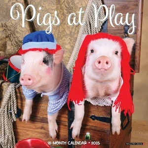 Willow Creek Press, Pigs At Play 2025 Wall Calendar - Picture 1 of 4