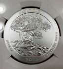 2013 5 oz Great Basin 25c Silver Coin NGC SP70 Early Releases, Signed - Castle