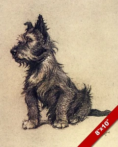 SCOTTISH TERRIER PET PUPPY DOG ANIMAL ART CECIL ALDIN PAINTING PRINT REAL CANVAS - Picture 1 of 1