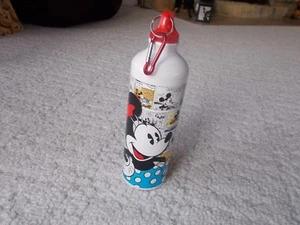 Disney Minnie Mouse Cartoni Animati e Amici Borraccia Alluminio NUOVO!!! 20 oz - Foto 1 di 4