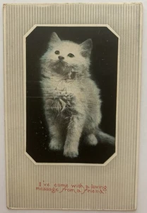Antike Katze Postkarte 1914 weißes Kätzchen "Botschaft von einem Freund" - Bild 1 von 2