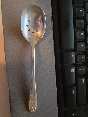 Cuchara Berry 1847 Rogers plateado patrón narciso 6" Foto 1 de 2