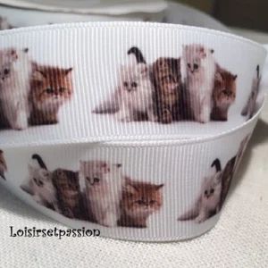 RUBAN GROS GRAIN IMPRIMÉ - 4 petits chatons, fond blanc ** 25 mm ** au mètre - Photo 1 sur 1